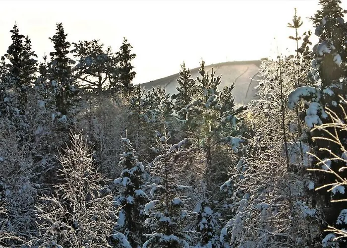 Lapland Happiness Skistar 201